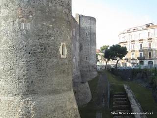stello Ursino-17-03-2014 19-36-59